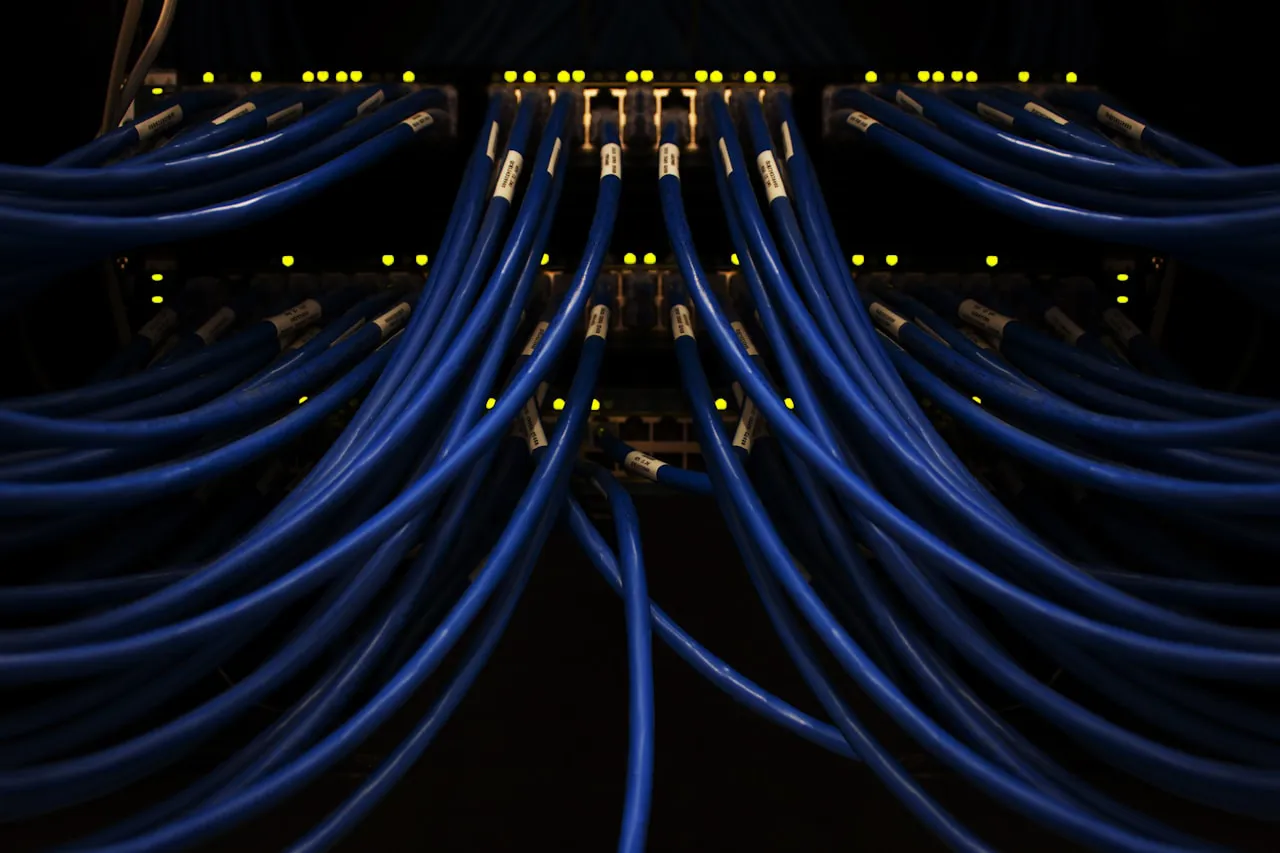 Mavi yüksek bant genişlikli ağ kabloları — GPU cluster interconnect