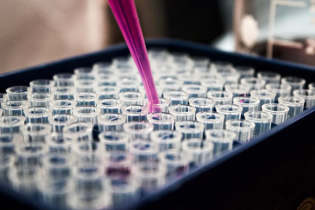 Laboratory research — epigenetic clock and biological age measurement